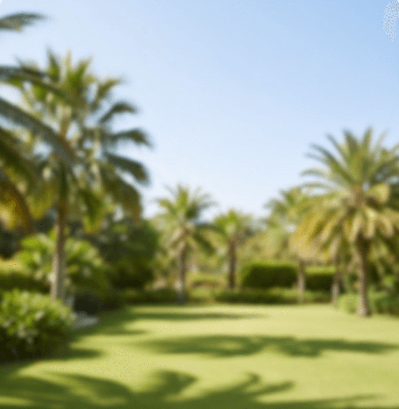 סוף העולם שמאלה- וילה מדברית