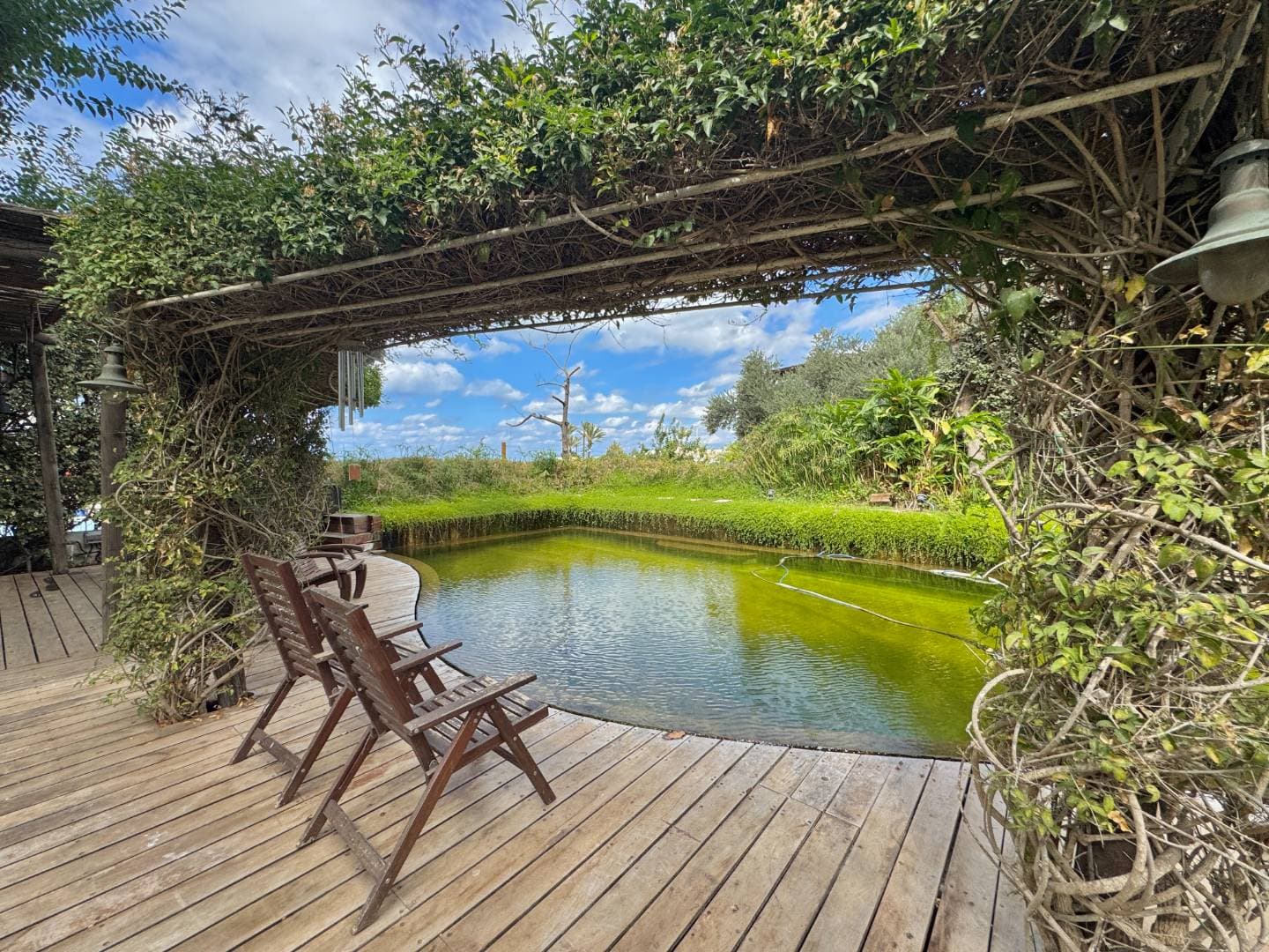 צימר תמונה צימר תמונה